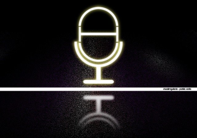 Free download Microphone Mic Sound -  free illustration to be edited with GIMP free online image editor