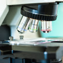 Microscope  screen for extension Chrome web store in OffiDocs Chromium Microscope  screen for extension Chrome web store in OffiDocs Chromium