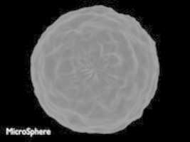Free download MicroSphere free photo or picture to be edited with GIMP online image editor