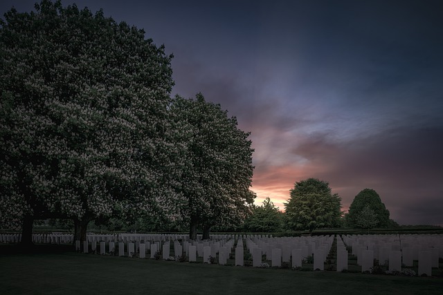 Free download military cemetery grave soldier free picture to be edited with GIMP free online image editor