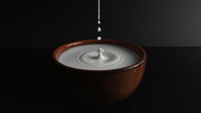 Free download milk drop splash drink beverage free picture to be edited with GIMP free online image editor