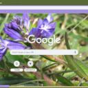 Milkwort  screen for extension Chrome web store in OffiDocs Chromium