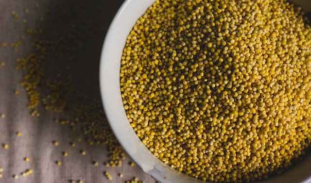 Free download millet groats corn food cereal free picture to be edited with GIMP free online image editor