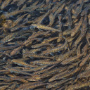 Millions of fish  screen for extension Chrome web store in OffiDocs Chromium