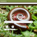 Millipede  screen for extension Chrome web store in OffiDocs Chromium