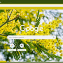 Mimosa screen para sa extension ng Chrome web store sa OffiDocs Chromium