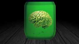 Free download Mind Brain -  free video to be edited with OpenShot online video editor