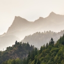 Minimalist Mountains with Trees and Fog  screen for extension Chrome web store in OffiDocs Chromium