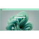 mint windows 2  screen for extension Chrome web store in OffiDocs Chromium