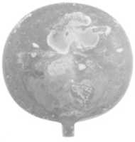Free download Mirror of Wah free photo or picture to be edited with GIMP online image editor