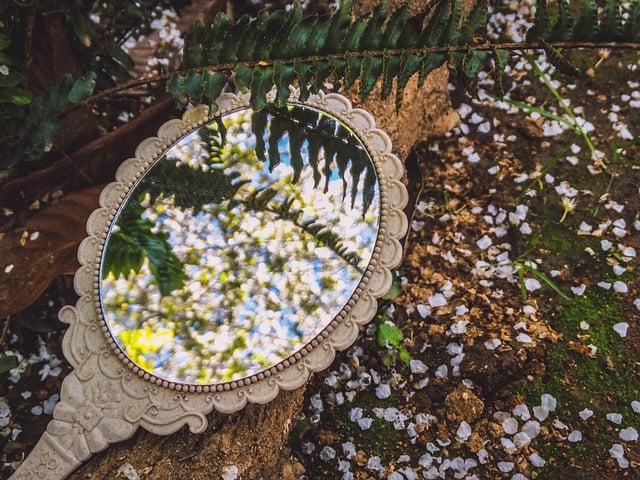 Free download mirror reflecting sheets petals free picture to be edited with GIMP free online image editor