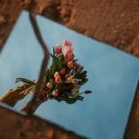 MIRROR Theme  screen for extension Chrome web store in OffiDocs Chromium