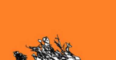 Free download misspixxie free photo or picture to be edited with GIMP online image editor