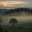 Mist covers green fields  screen for extension Chrome web store in OffiDocs Chromium