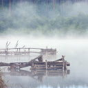 Mist river and forest  screen for extension Chrome web store in OffiDocs Chromium