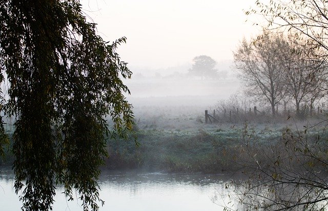 הורדה חינם Misty Morning Riverbank Mist - תמונה או תמונה בחינם לעריכה עם עורך התמונות המקוון GIMP