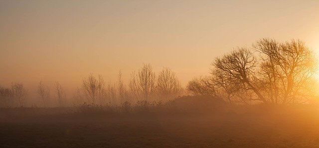 Free picture Misty Morning Sunrise Sun Through -  to be edited by GIMP free image editor by OffiDocs