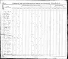 Free download MIUSA 1866 113980 00115 free photo or picture to be edited with GIMP online image editor