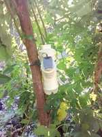 Free download Miwesta free photo or picture to be edited with GIMP online image editor