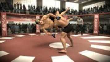 Free download Mixed Martial Arts free photo or picture to be edited with GIMP online image editor