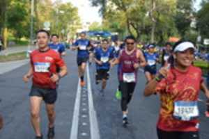 Free download MMCDMX 13 ( 866) free photo or picture to be edited with GIMP online image editor