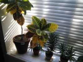 Free download mnb photo test free photo or picture to be edited with GIMP online image editor