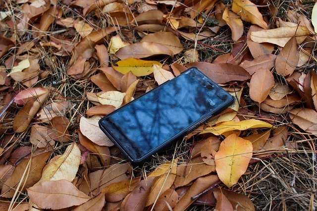 دانلود رایگان Mobile Phone Autumn Lost - عکس یا تصویر رایگان قابل ویرایش با ویرایشگر تصویر آنلاین GIMP