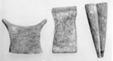 Free download Model element, food free photo or picture to be edited with GIMP online image editor