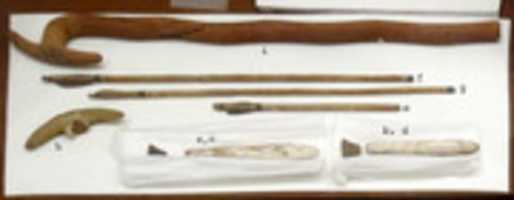 Free download Model Fire-stick free photo or picture to be edited with GIMP online image editor