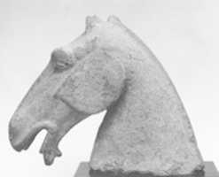 Free download Model of  Horses Head free photo or picture to be edited with GIMP online image editor