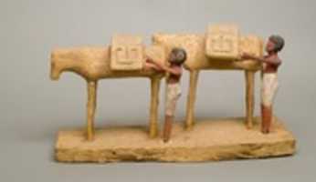 Free download Model of Two Donkeys with Drivers free photo or picture to be edited with GIMP online image editor