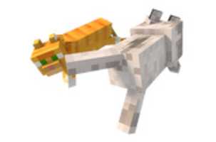 Free download mod_gifku free photo or picture to be edited with GIMP online image editor