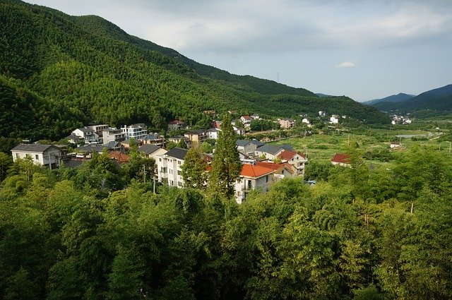 Free download Moganshan Summer Mountainside At -  free photo or picture to be edited with GIMP online image editor