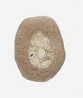 Free download Mold with Unfired Frit Still Present free photo or picture to be edited with GIMP online image editor