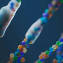 Molecular Structure Flow  screen for extension Chrome web store in OffiDocs Chromium