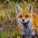 Moments: A PNW New Tab  screen for extension Chrome web store in OffiDocs Chromium