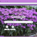 Monarda  screen for extension Chrome web store in OffiDocs Chromium
