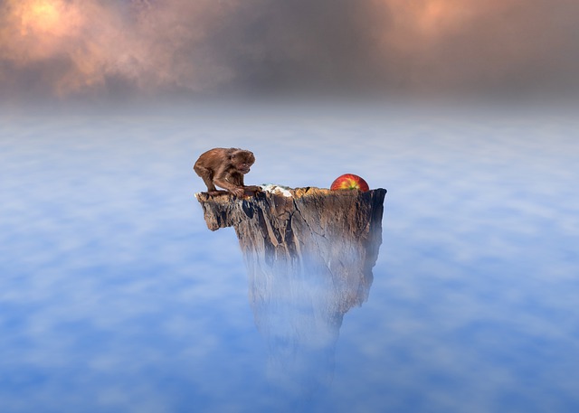 Free download monkey primate ape rock island free picture to be edited with GIMP free online image editor