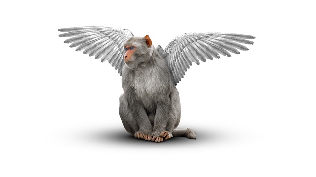 Free download monkey wings angel primate ape free picture to be edited with GIMP free online image editor