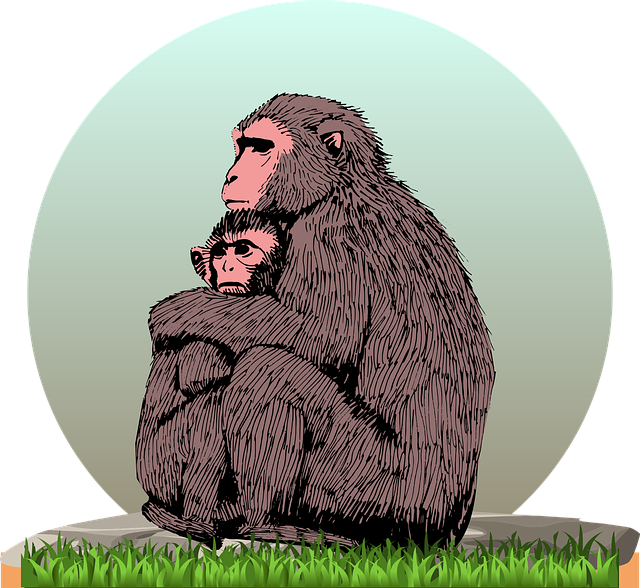 Free download Monkey With Cub - Free vector graphic on Pixabay free illustration to be edited with GIMP free online image editor