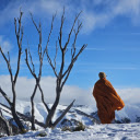 Monk on the snowy mountain  screen for extension Chrome web store in OffiDocs Chromium