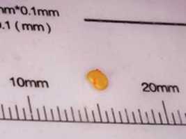 Free download Mon Oct 07 19 33 12 free photo or picture to be edited with GIMP online image editor