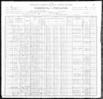 Free download Montine Stover 1900 Census Line 71 free photo or picture to be edited with GIMP online image editor