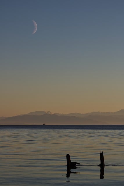 Free download moon evening sickle month sea free picture to be edited with GIMP free online image editor
