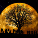 Moonlight party  screen for extension Chrome web store in OffiDocs Chromium