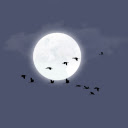 Moonlit Night Migration  screen for extension Chrome web store in OffiDocs Chromium