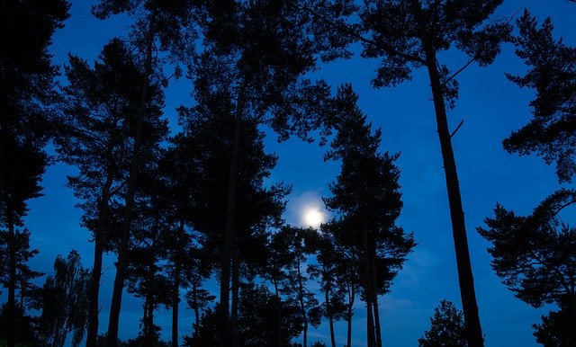 Téléchargement gratuit de Moon Nature Night - photo ou image gratuite à modifier avec l'éditeur d'images en ligne GIMP