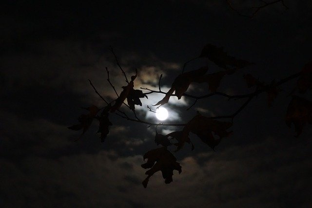 تنزيل مجاني Moon Night Mystical - صورة مجانية أو صورة يمكن تحريرها باستخدام محرر الصور عبر الإنترنت GIMP