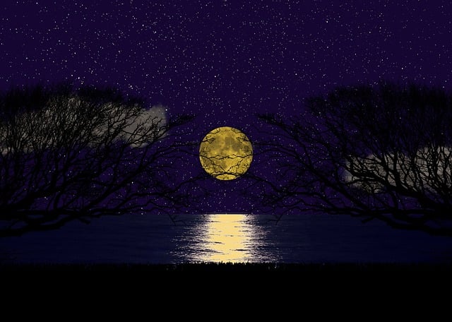Free download moon sky clouds stars moonlight free picture to be edited with GIMP free online image editor