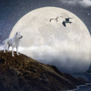 Moon Wolf  screen for extension Chrome web store in OffiDocs Chromium